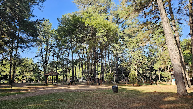 jardim bom demais
